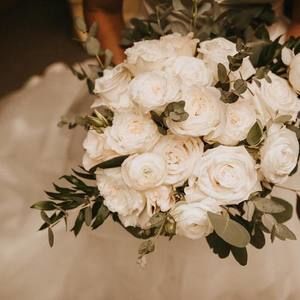 Meet your Posher, Jodie